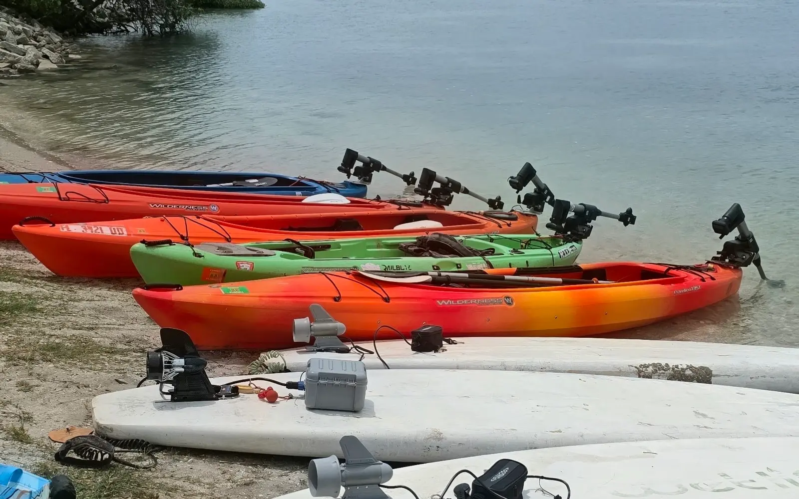 Lido Key Mangrove Kayak Tours