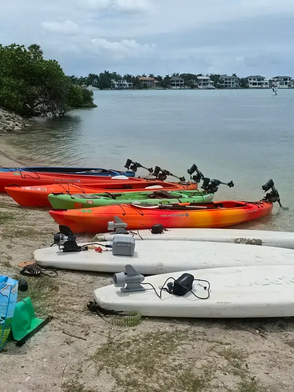 Lido Key Mangrove Kayak Tours