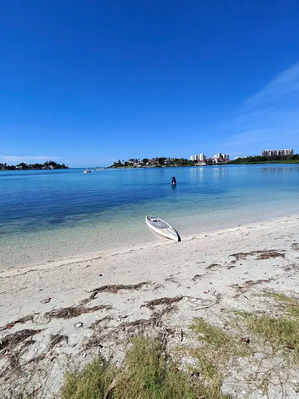Lido Key Mangrove Kayak Tours, photo 1