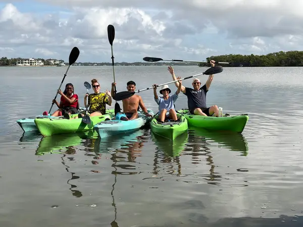 Lido Key Mangrove Kayak Tours, photo 3