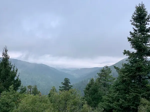 Lincoln NF Sacramento Mountains OHV