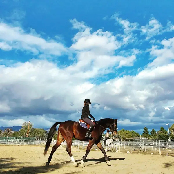 Lincourt Stables, photo 1