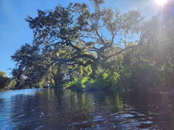 Linda's Kayak Rentals, photo 3
