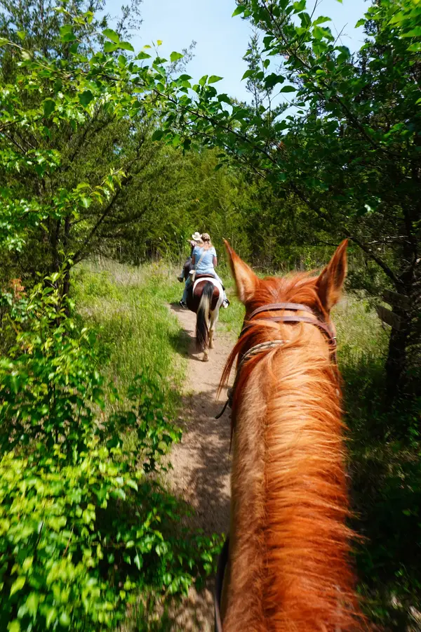 Lites Horse Ranch ... LLC, Williamstown, NJ