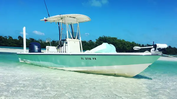 Live Action Sportfishing