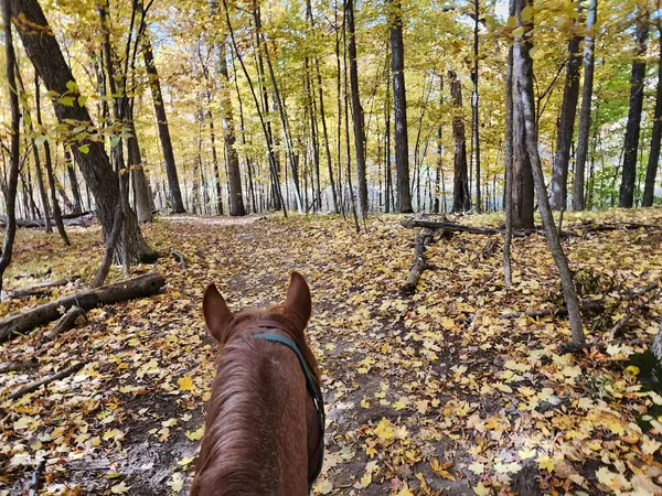 Living Trails