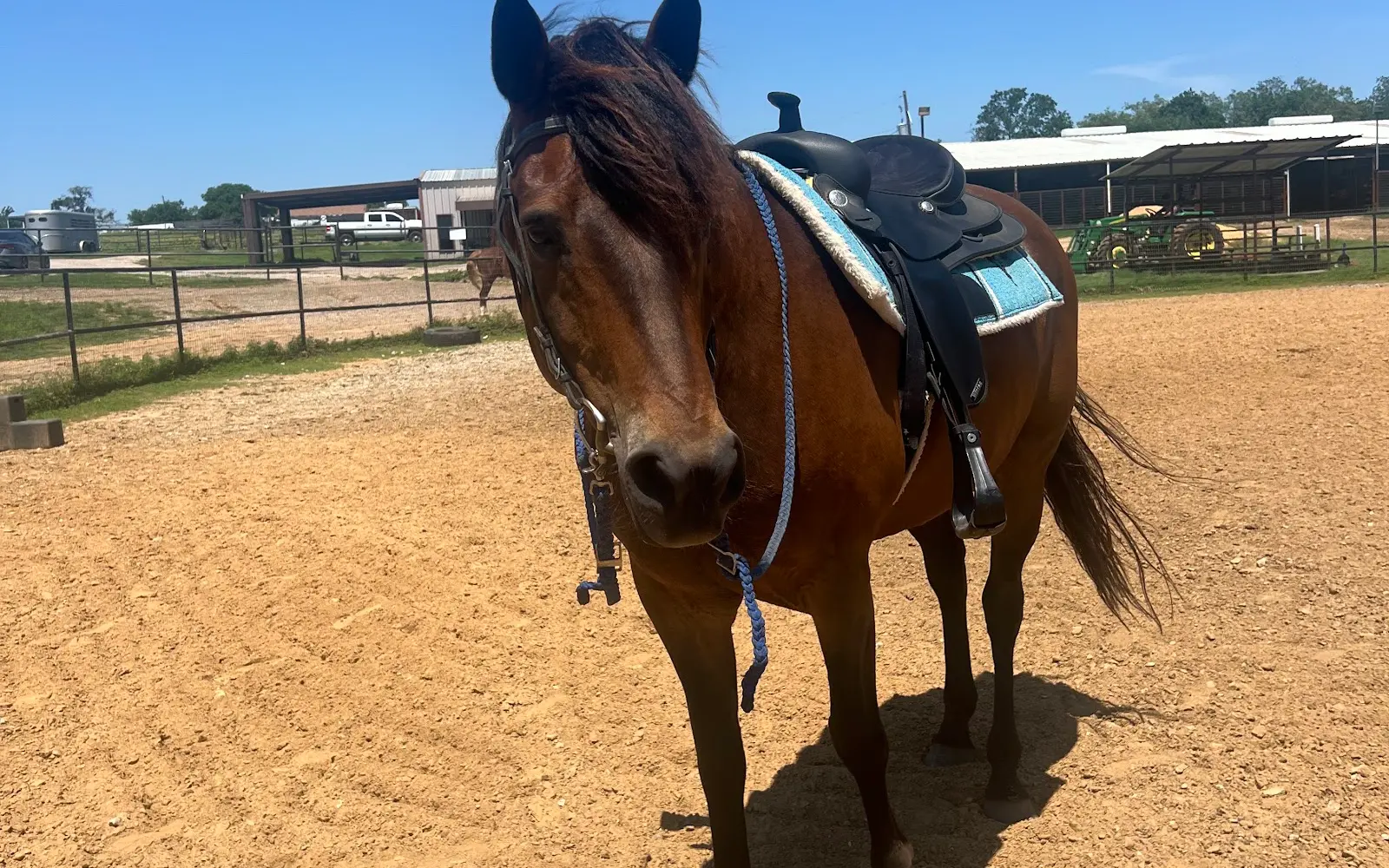 Lobos Horse Ranch & Stables