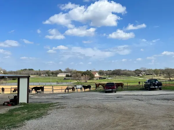 Lobos Horse Ranch & Stables, photo 1