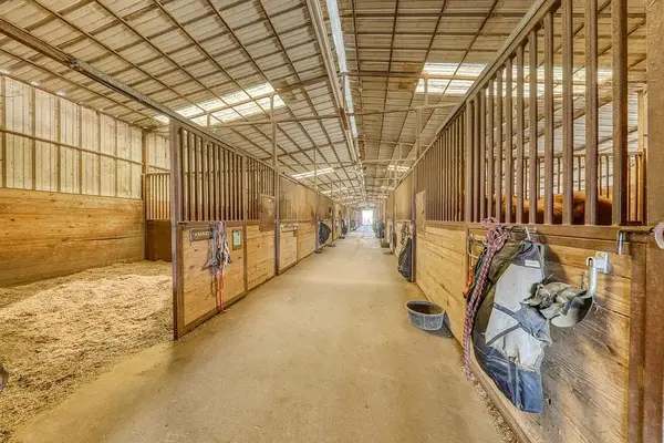 Lobos Horse Ranch & Stables, photo 2