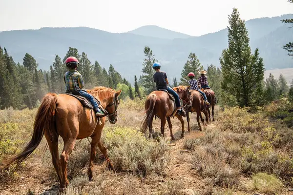 Logan Canyon Horseback Riding