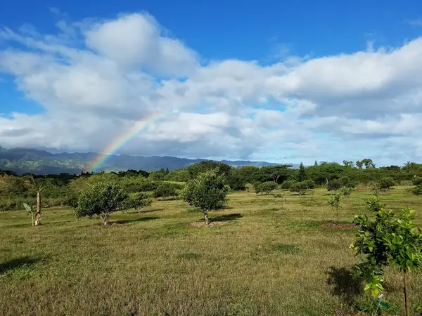 Lokoea Farms, Haleiwa, HI