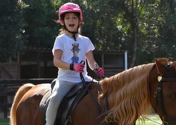 Lone Star Saddlebreds Riding Academy