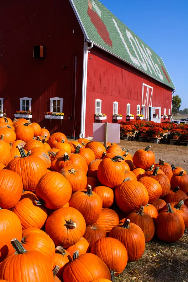Long Family Orchard & Farm, Commerce Township, MI