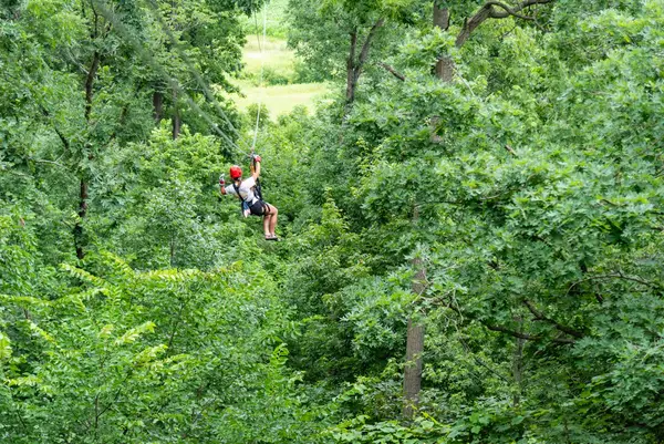 Long Hollow Canopy Tours, Galena, IL