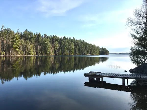 Loon and Eagle Outfitters, photo 2