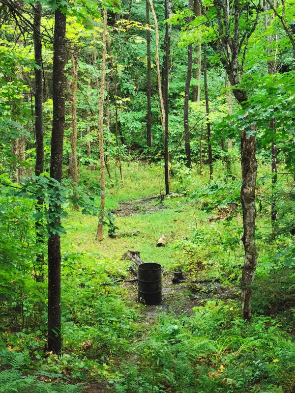 Loring Bear Outfitters, photo 1
