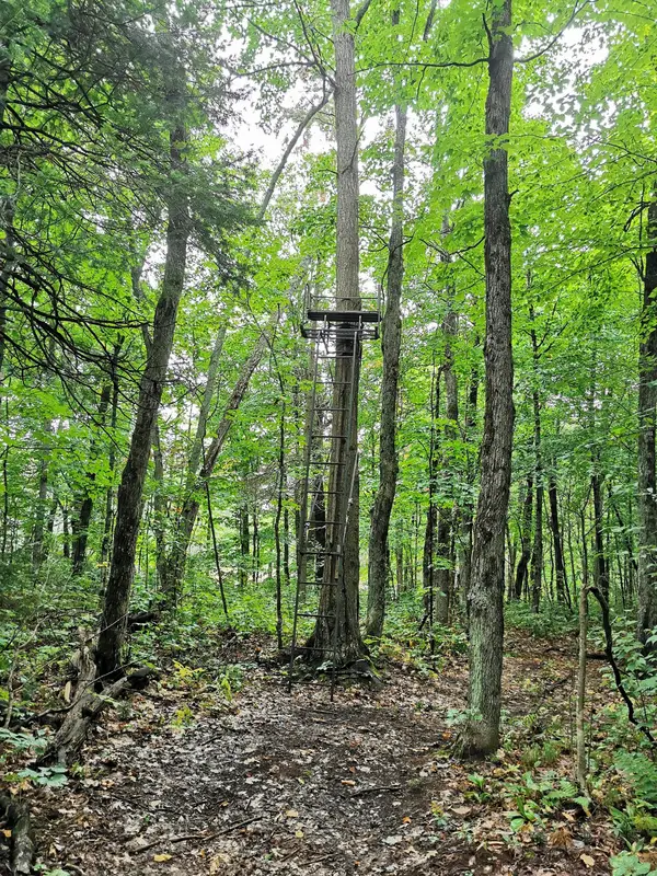 Loring Bear Outfitters, photo 3