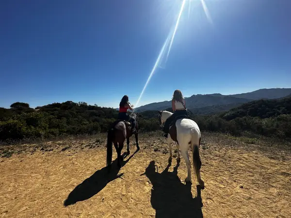 Los Angeles Horseback Riding