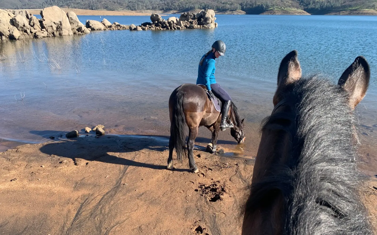 Los Lagos Equestrian