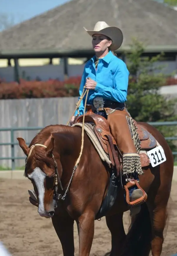 Los Lagos Equestrian, photo 2