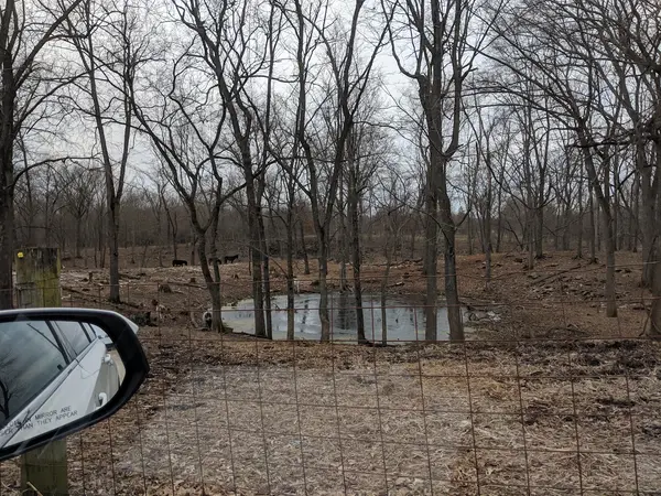 Lost River Game Farm