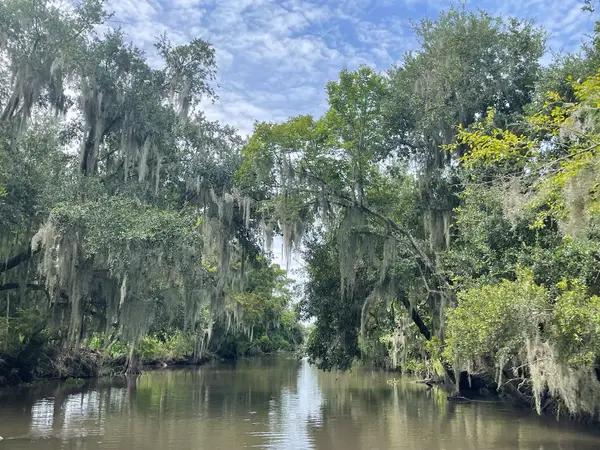 Louisiana Tour Company, Marrero, LA