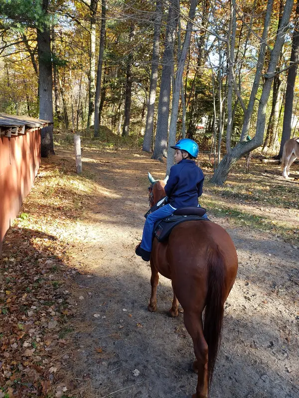 Lucky 7 Stables