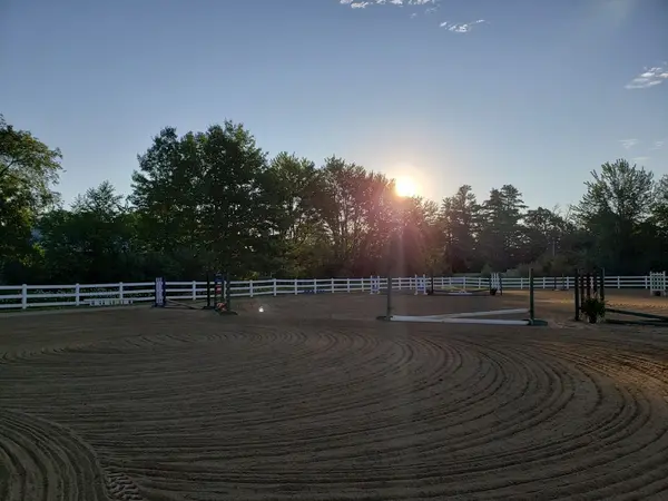 Lupine Farm