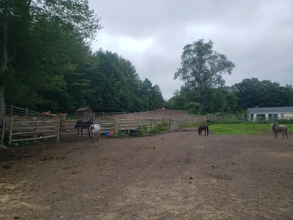 Mack Hill Riding Academy