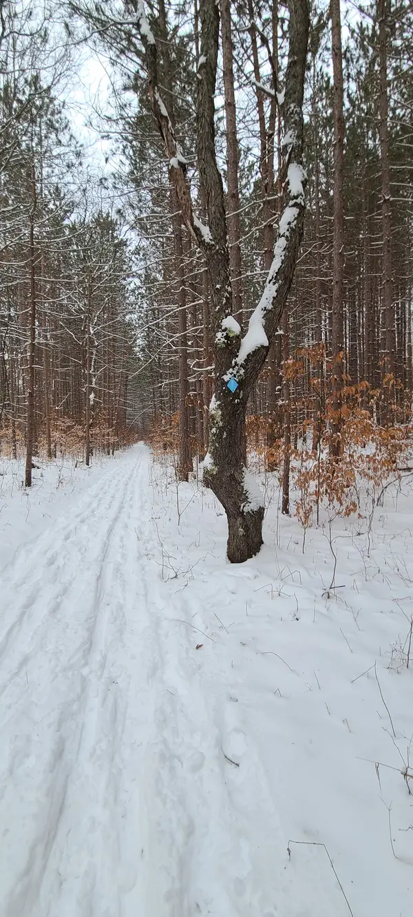 Mackenzie Cross Country Ski and Mountain Bike Trail