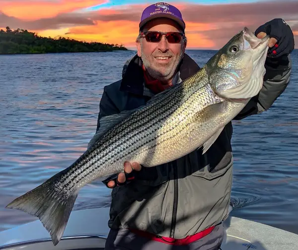 Mad Gillz Fishing Guide Lake Lanier, Gainesville, GA
