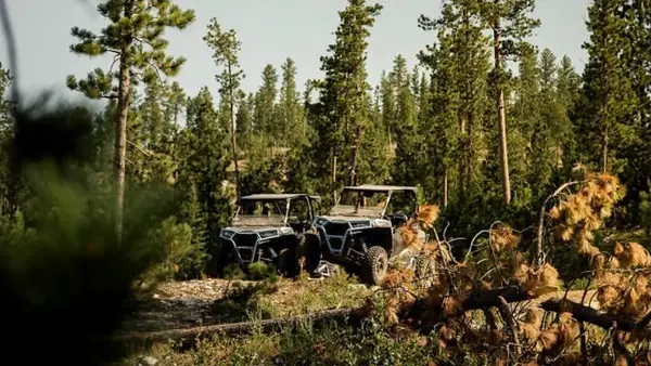 Mad Mountain Adventures