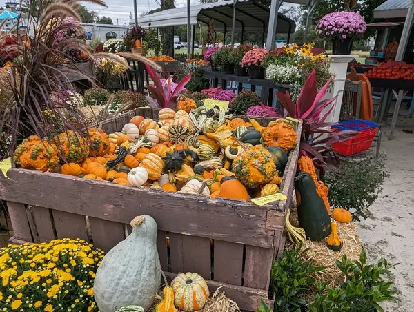 Magee Farms, Lewes, DE