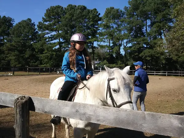 Magnolia Acres Farm