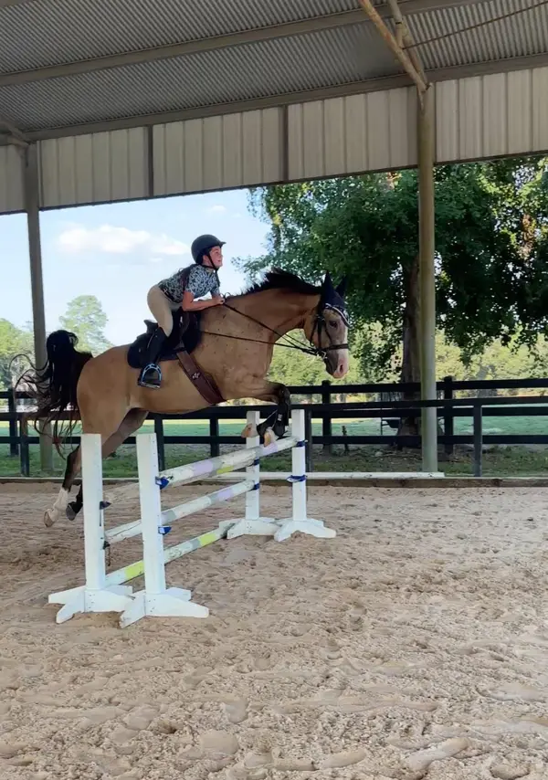 Magnolia Meadows Ranch, photo 2
