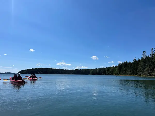 Maine State Sea Kayak, Bar Harbor, ME