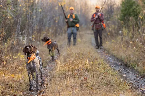 Maine Upland Guide Service
