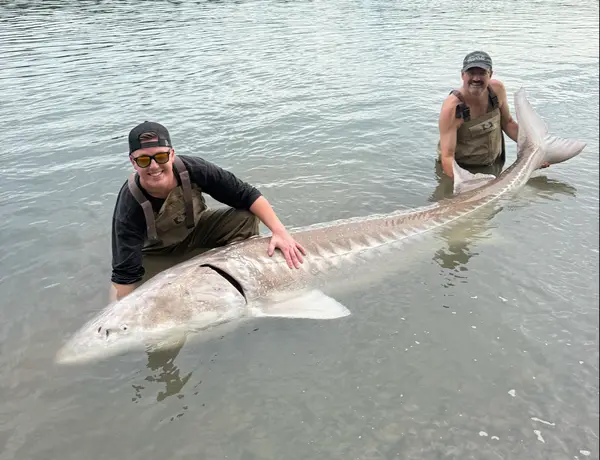 Mainlanders SportFishing