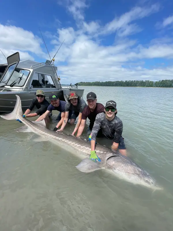 Mainlanders SportFishing, photo 1