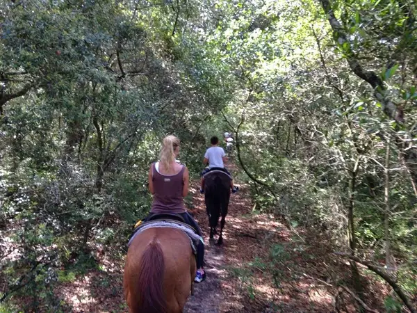 Makin' Tracks Trail Rides, photo 1