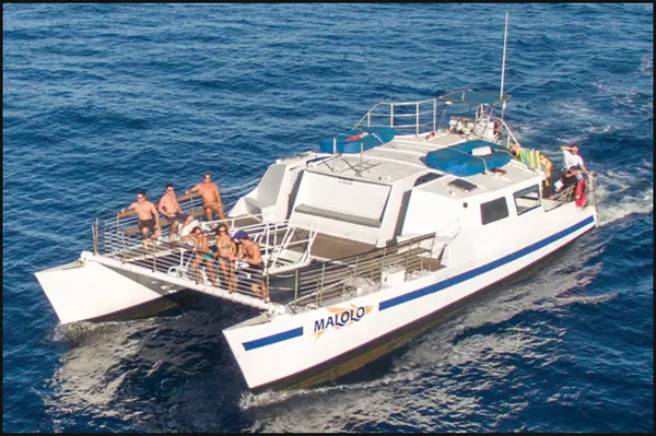 Malolo Molokini Snorkeling Tours, Wailuku, HI