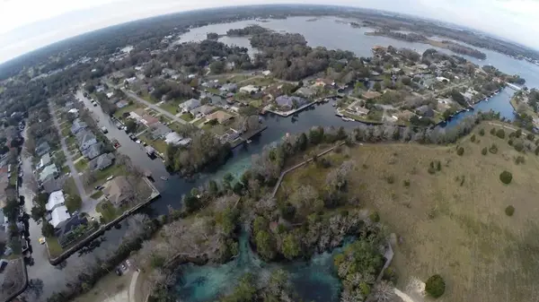 Manatee Fun: Swim with Manatee Tour in Crystal River & Homosassa