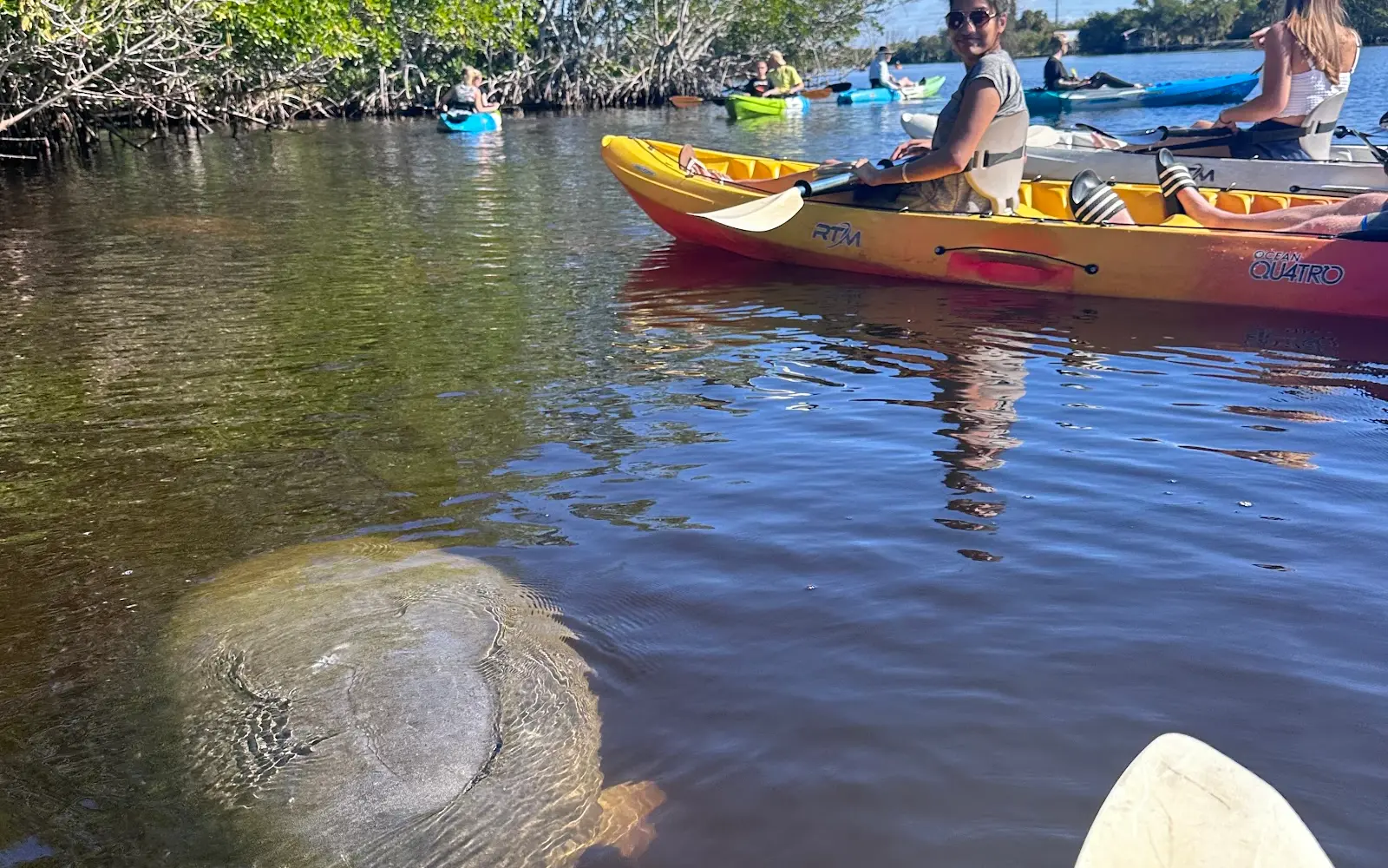 Manatee Kayaking Company