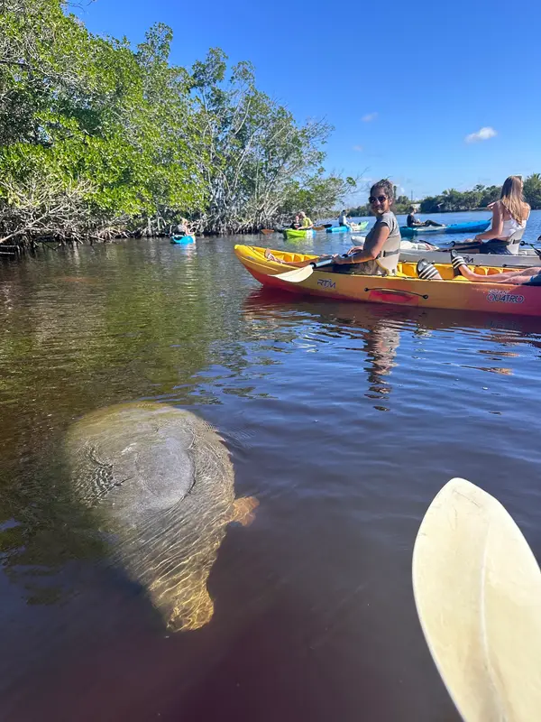 Manatee Kayaking Company