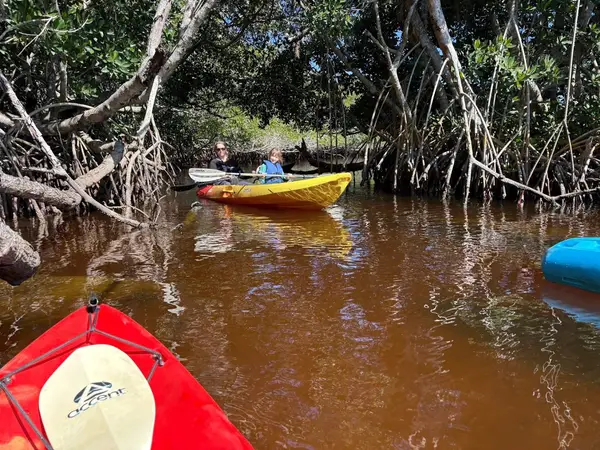 Manatee Kayaking Company, photo 1