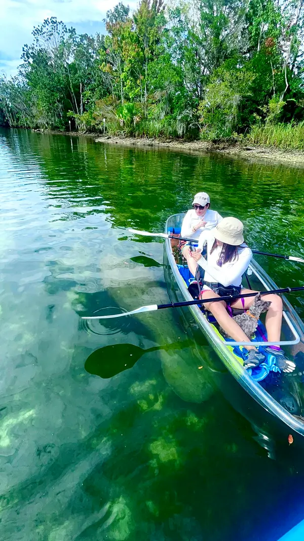 Manatee Paddle Rentals & Tours, photo 1