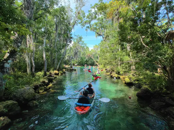 Manatee Paddle Rentals & Tours, photo 2