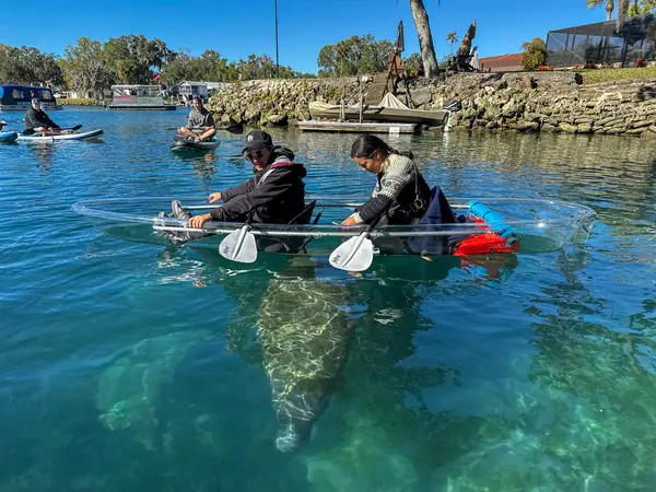 Manatee Paddle Rentals & Tours, photo 3