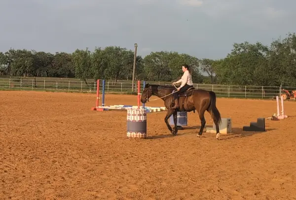 Maner Horse Ranch & Boarding, photo 1