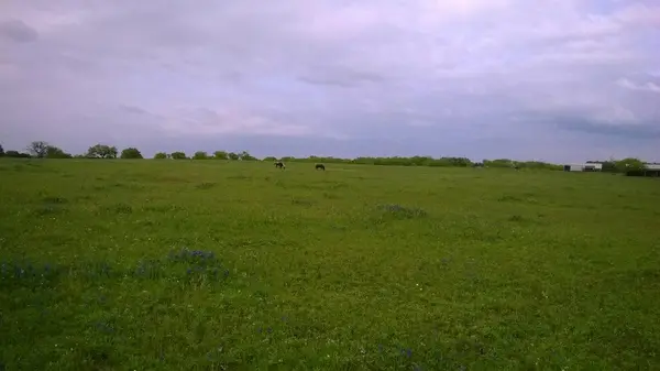 Maner Horse Ranch & Boarding, photo 2